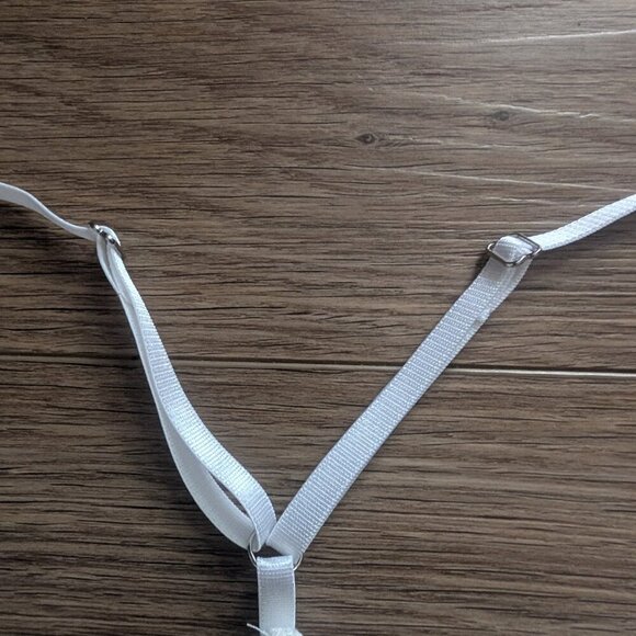 ALLSAINTS | Erity Lace Bodysuit In Chalk White - Picture 12 of 14